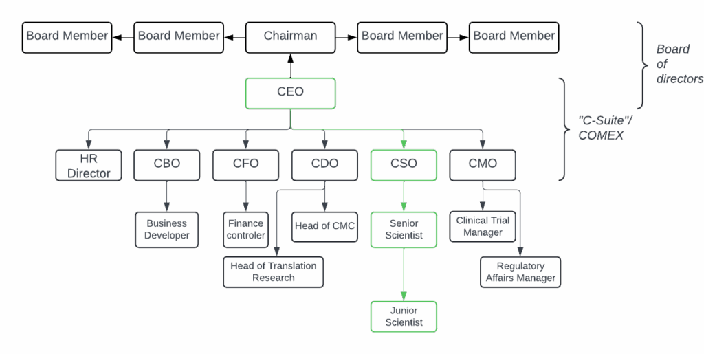 Un organigramme simplifié d'une startup de biotechnologie.